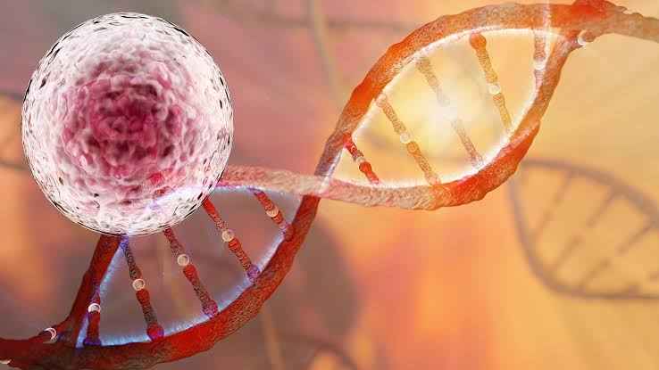 images erchonia clinical trials
